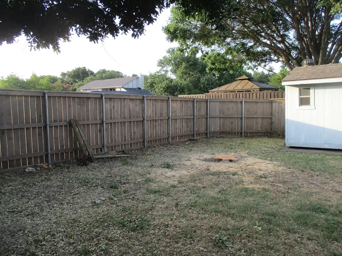 Cleared yard after professional tree removal in Fortville